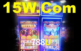 Programa VIP 788U